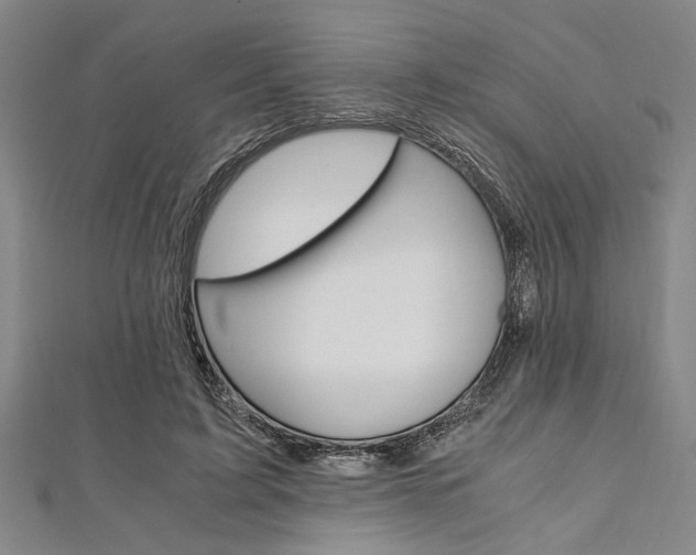 X0000112110595200908041153