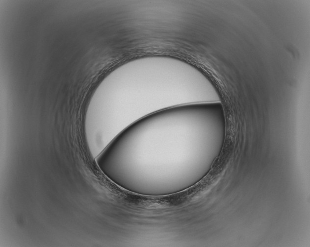 X0000112110597200908041153