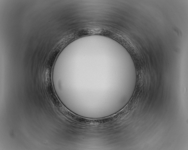 X0000112110598200908041153