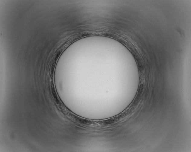 X0000112110599200908041153