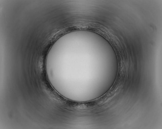 X0000112110600200908041153