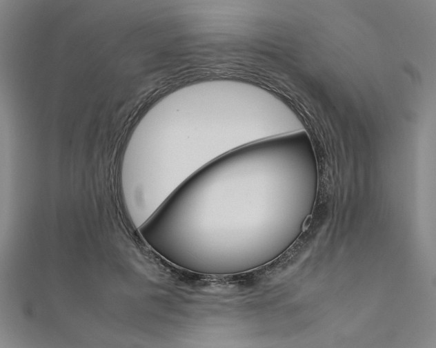 X0000112110601200908041153