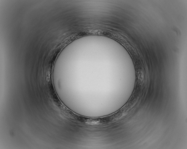 X0000112110602200908041153
