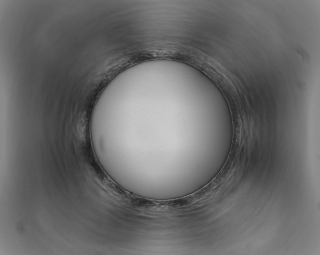 X0000112110604200908041153