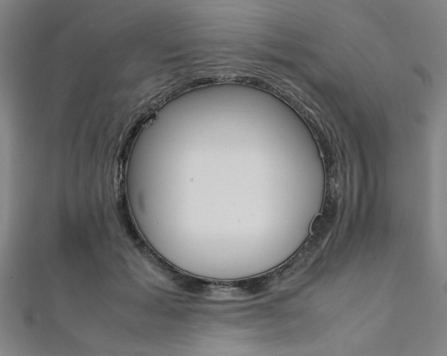 X0000112110605200908041153