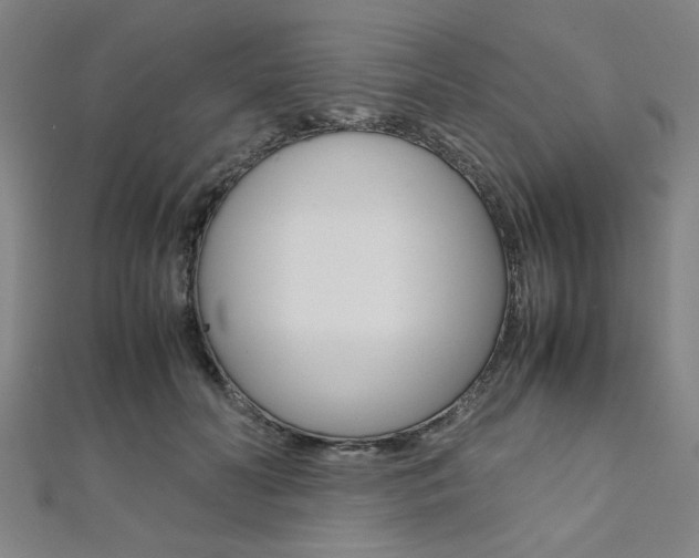 X0000112110606200908041153