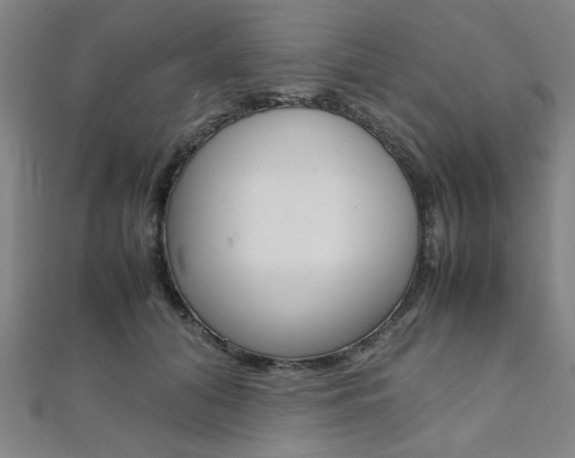 X0000112110608200908041153