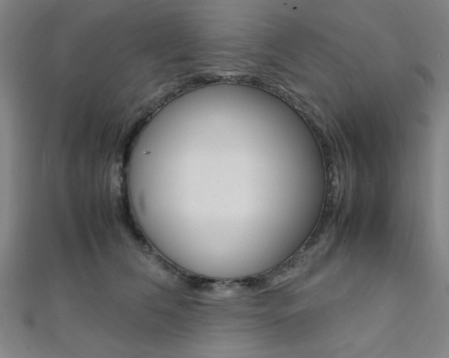 X0000112110612200908041153