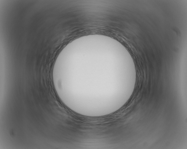 X0000112110613200908041153