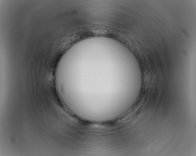 X0000112110614200908041153