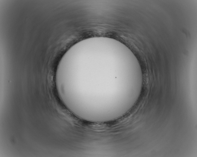 X0000112110615200908041153