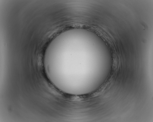 X0000112110616200908041153