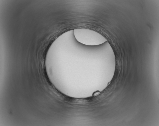X0000112110617200908041153