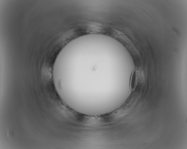 X0000112110621200908041152