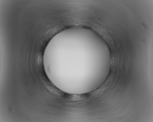 X0000112110623200908041152