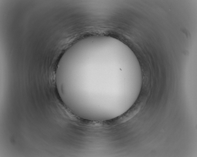 X0000112110624200908041152
