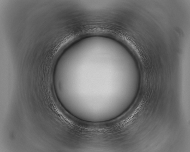 X0000112110625200908041152