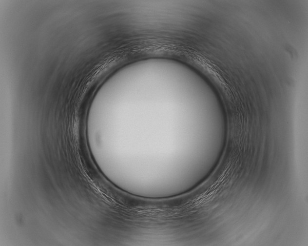 X0000112110626200908041152