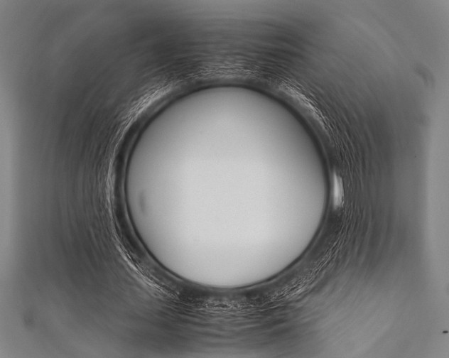 X0000112110627200908041152