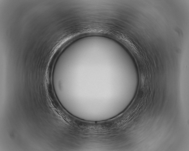 X0000112110628200908041152