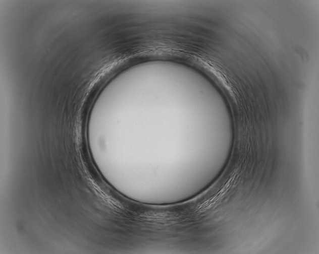 X0000112110629200908041152