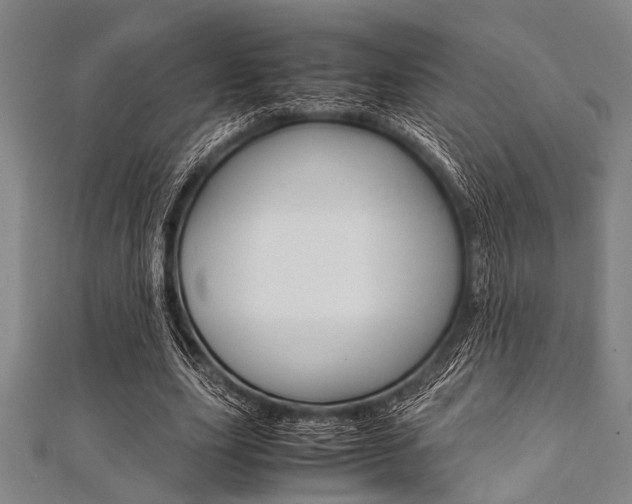 X0000112110631200908041152
