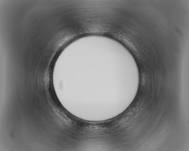 X0000112110632200908041152