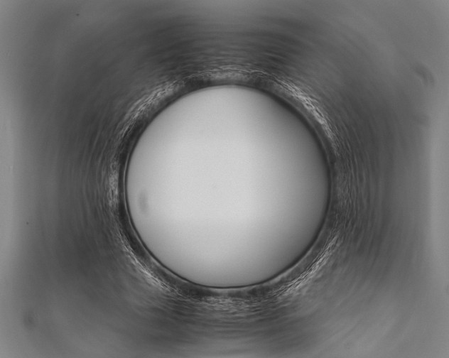 X0000112110633200908041152