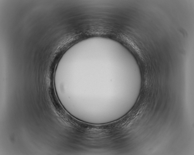 X0000112110635200908041152