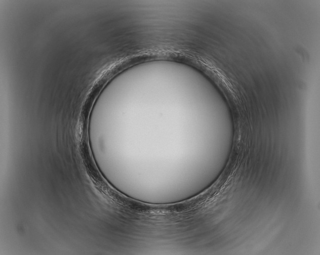X0000112110636200908041152
