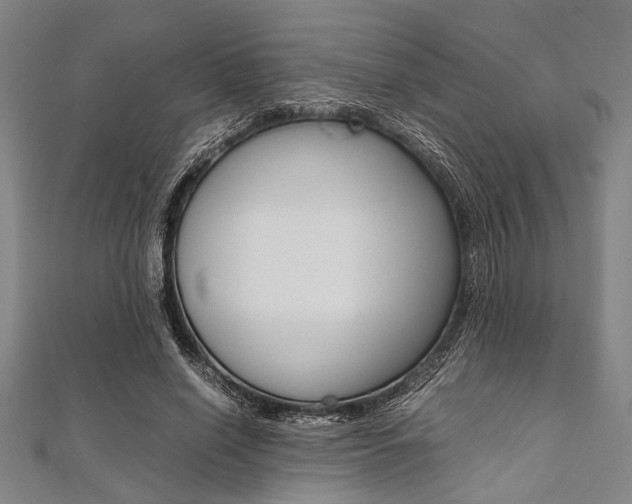 X0000112110638200908041152