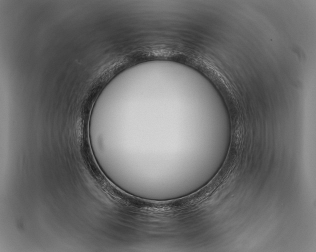 X0000112110639200908041152