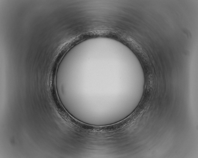 X0000112110640200908041152