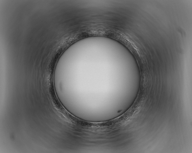 X0000112110641200908041152