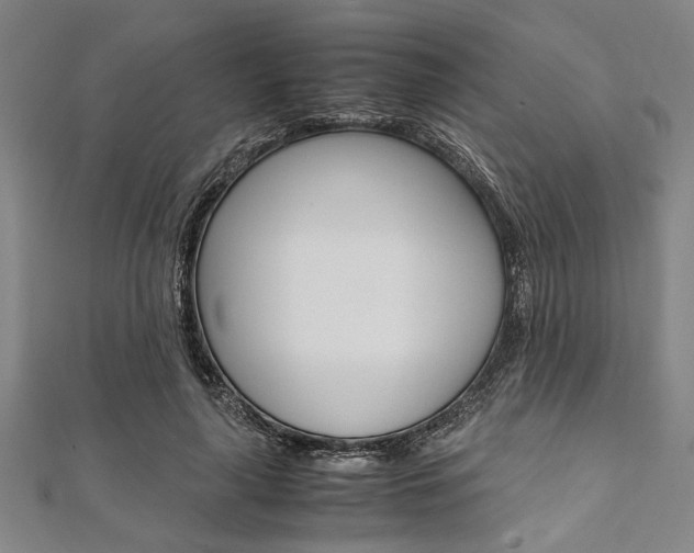 X0000112110643200908041152