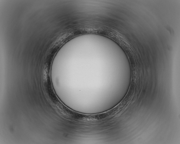 X0000112110644200908041152