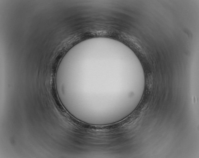 X0000112110645200908041152