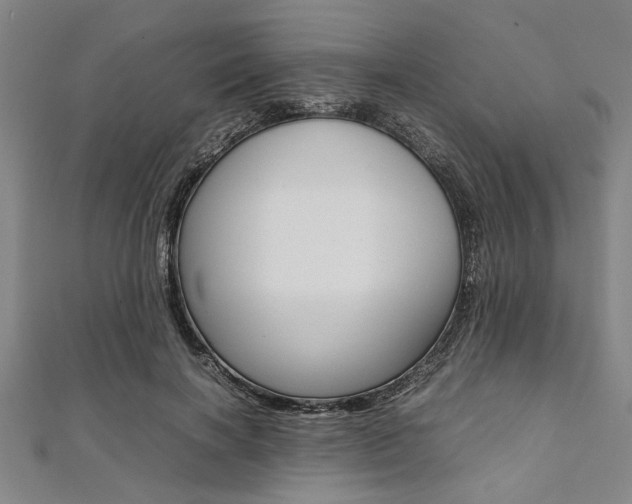 X0000112110646200908041152