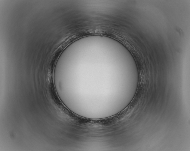 X0000112110648200908041152