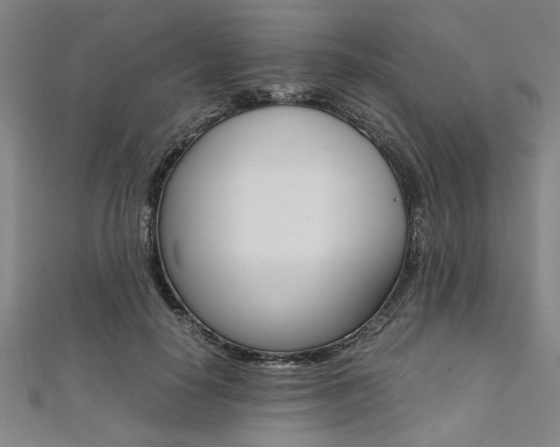 X0000112110650200908041152