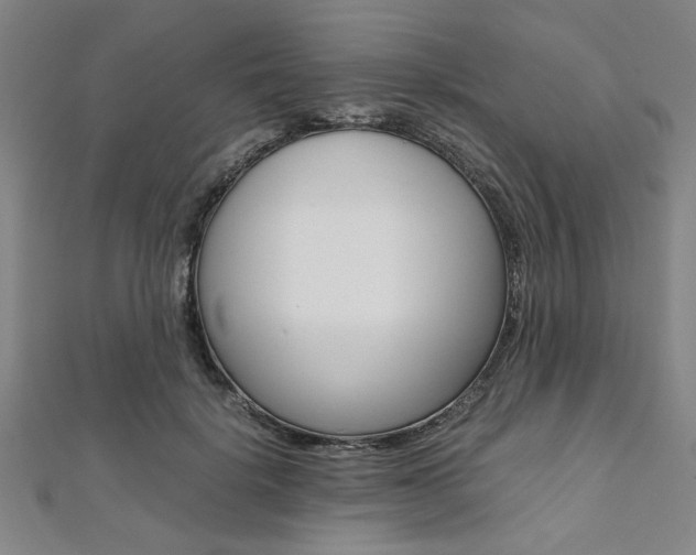 X0000112110652200908041152