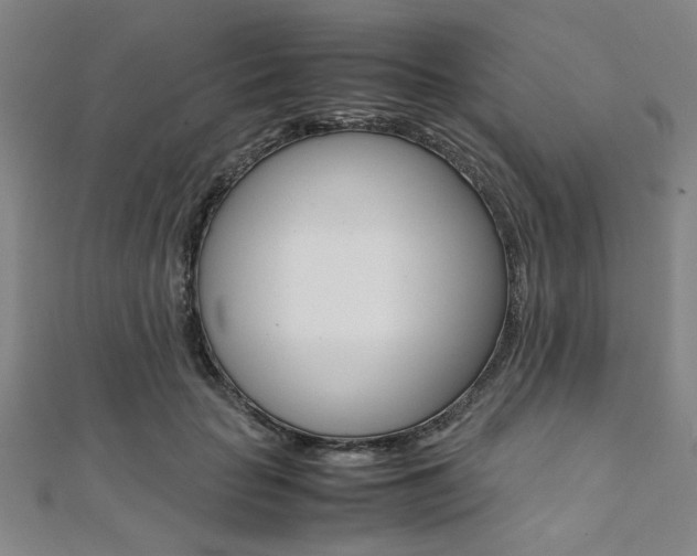 X0000112110653200908041152