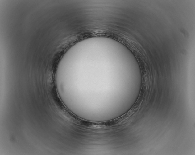 X0000112110654200908041152