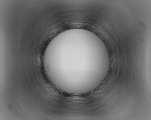 X0000112110655200908041152