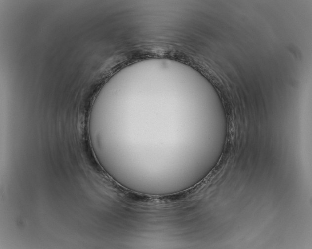 X0000112110656200908041152