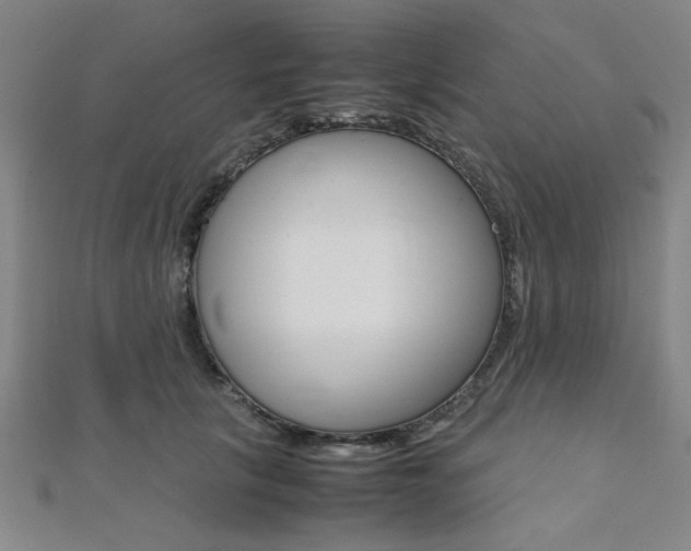 X0000112110657200908041152
