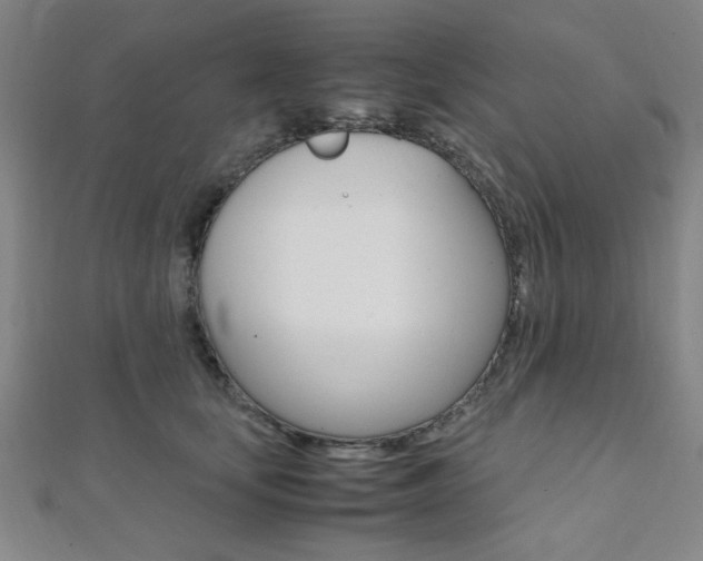 X0000112110659200908041152