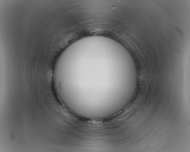 X0000112110660200908041152