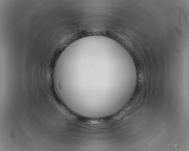 X0000112110662200908041152