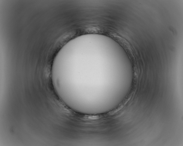 X0000112110665200908041152